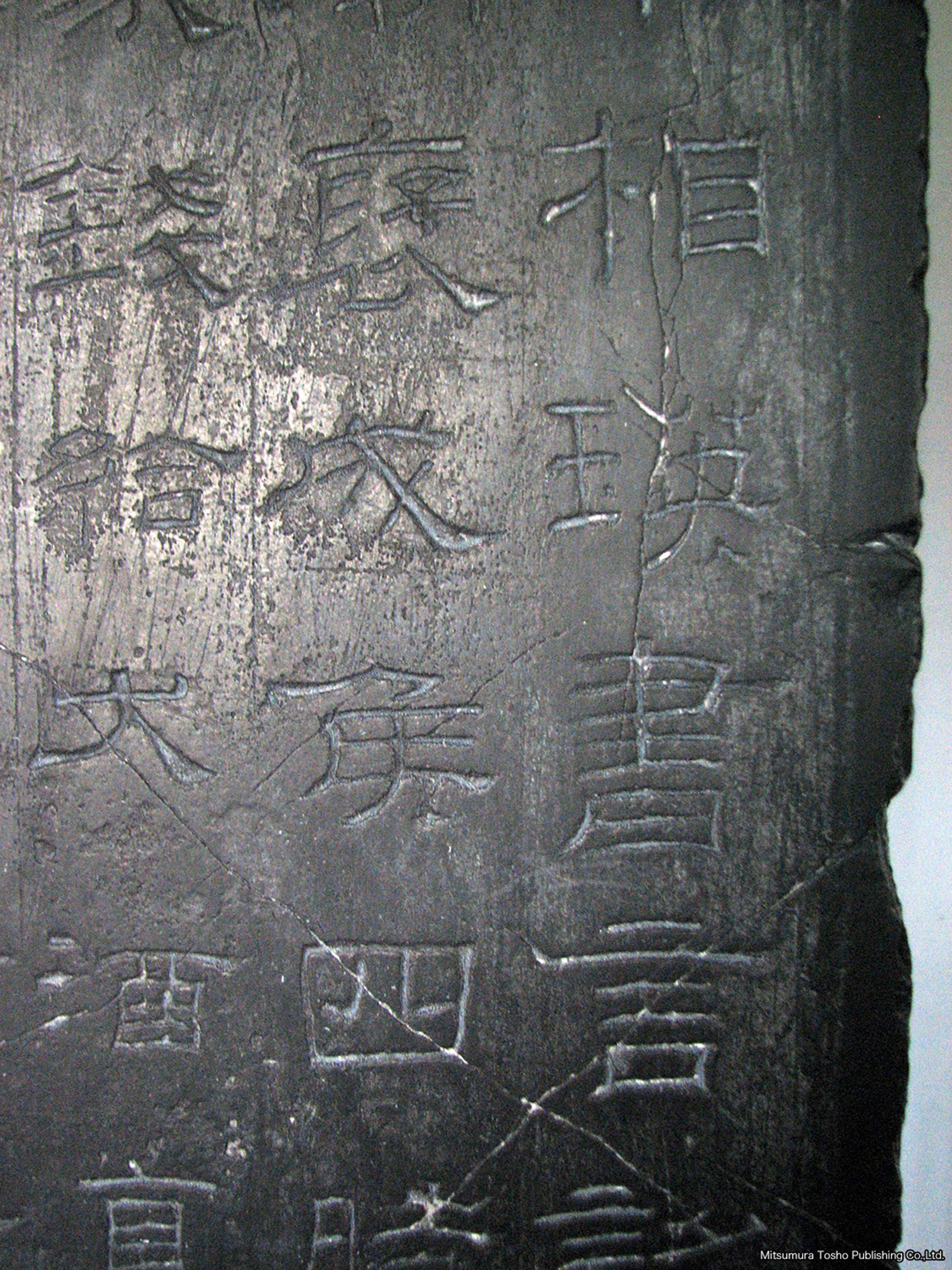 写真資料　画像