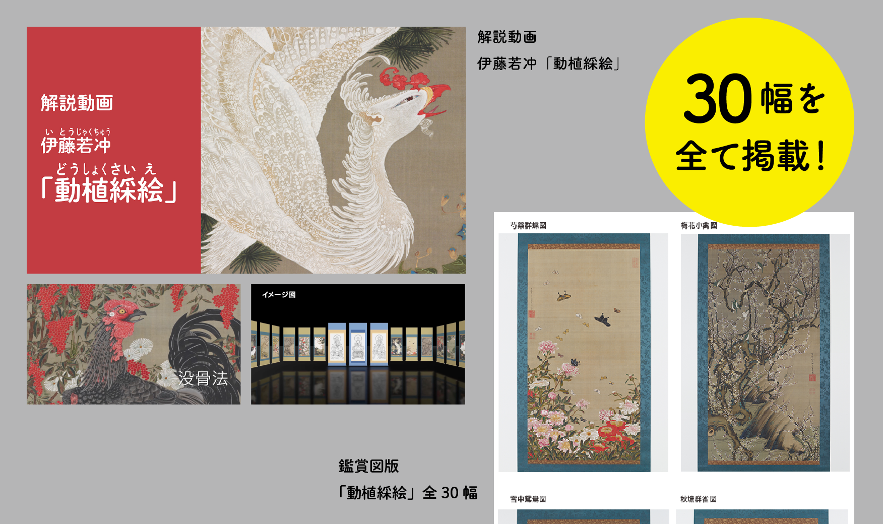 「動植綵絵」の解説動画や、全幅の図版　画像